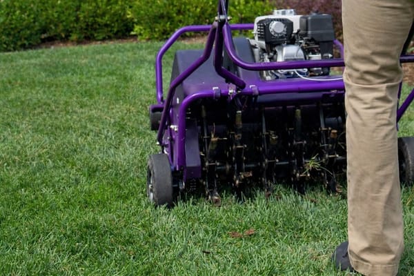 Professional lawn aerator on green grass